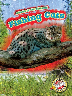 Fishing Cats - ebook